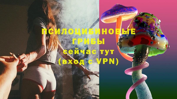 соль курить ск Михайлов