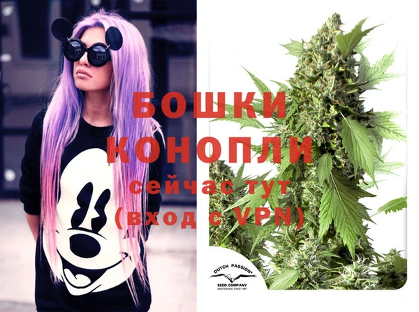 молекула духа Михайловка