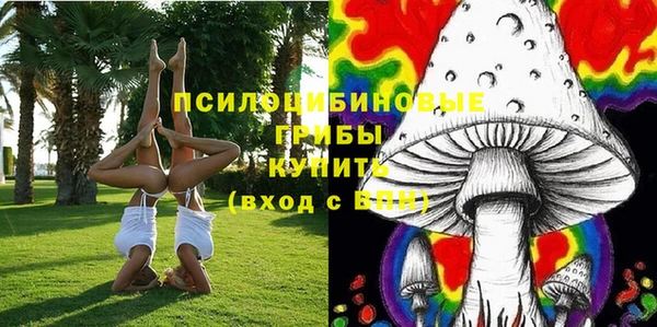 винт Михайловск