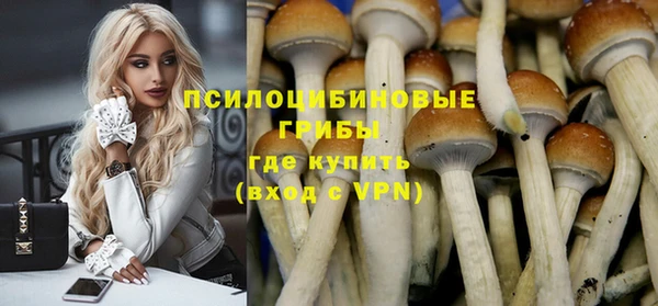 молекула духа Михайловка